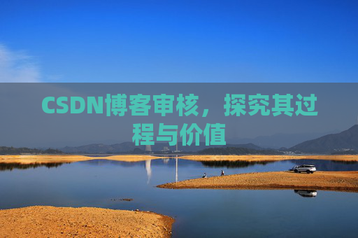 CSDN博客审核，探究其过程与价值